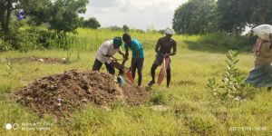 20210915 7.15.28 AM.jpg