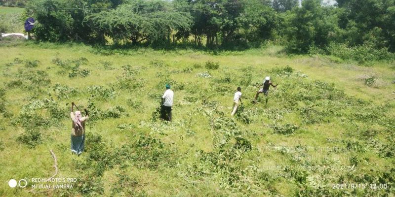 File:20210915 7.15.33 AM.jpg