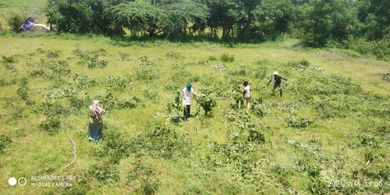 File:20210915 7.15.34 AM.jpg