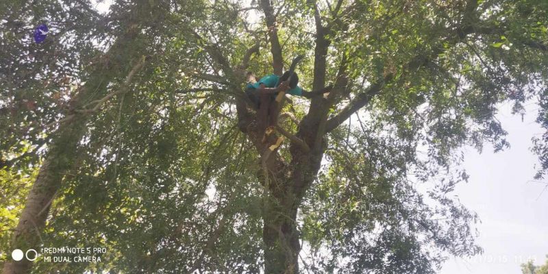 File:20210915 7.15.35 AM.jpg