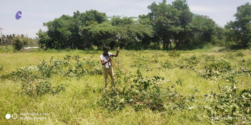 File:20210915 7.15.36 AM.jpg