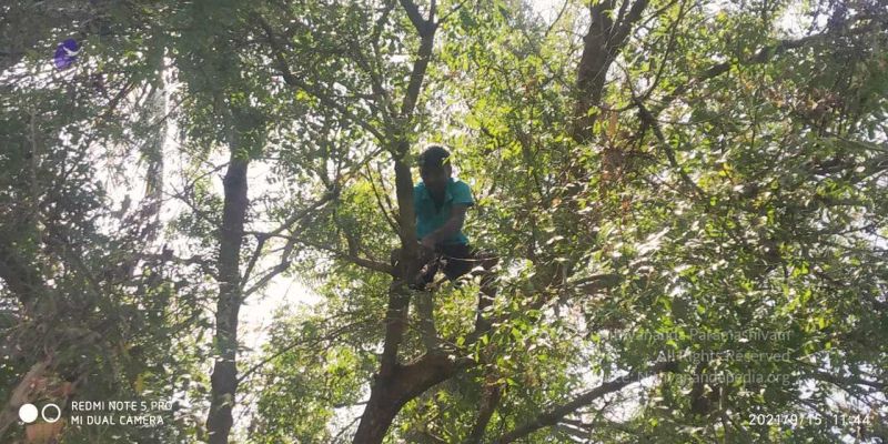 File:20210915 7.15.37 AM.jpg