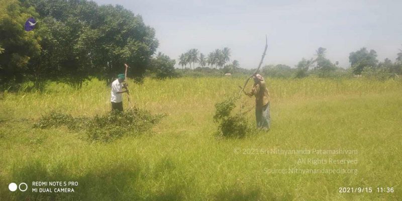 File:20210915 7.15.40 AM.jpg