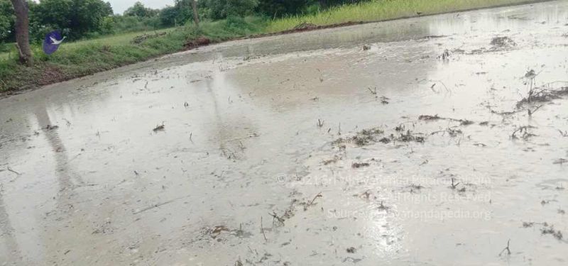 File:20210916 Tiruvannamalai 7.16.39 AM.jpg