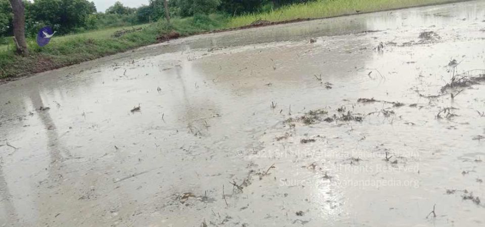 20210916 Tiruvannamalai 7.16.39 AM.jpg