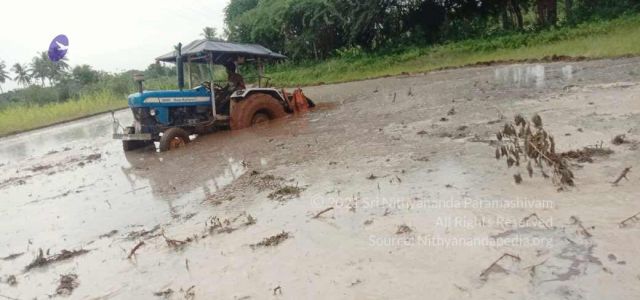 20210916 Tiruvannamalai 7.16.40 AM.jpg