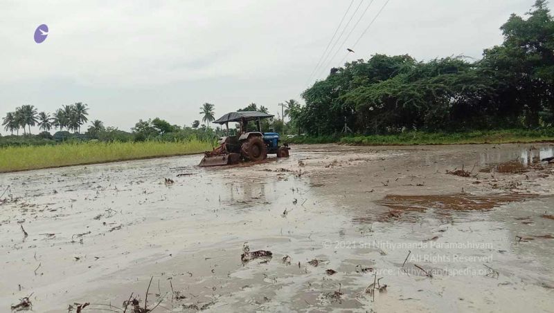 File:20210916 Tiruvannamalai 7.16.50 AM.jpg