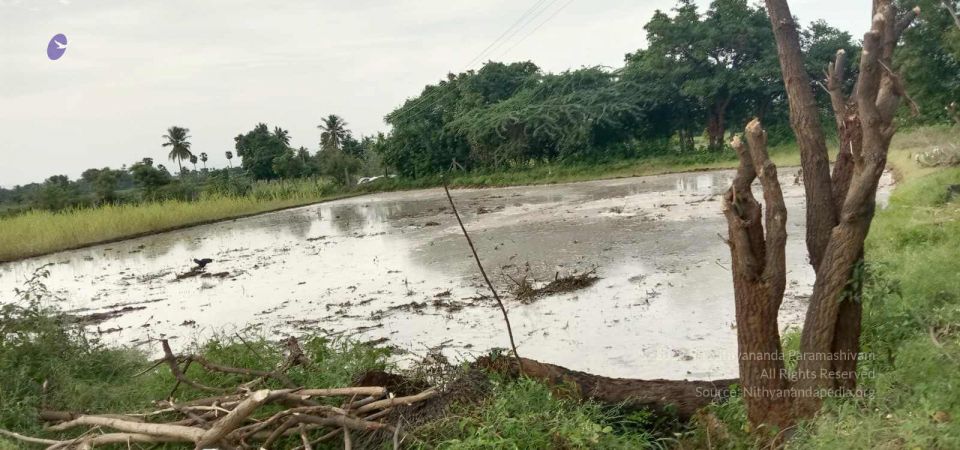 20210917 Tiruvannamalai 11.45.25 AM.jpg