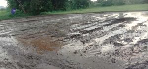 20210917 Tiruvannamalai 11.46.18 AM.jpg