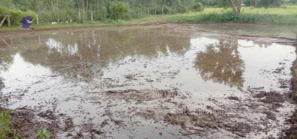 20210917 Tiruvannamalai 11.46.20 AM.jpg