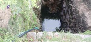 20210917 Tiruvannamalai 11.46.22 AM.jpg