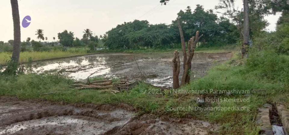 20210920 Tiruvannamalai 11.46.26 AM.jpg