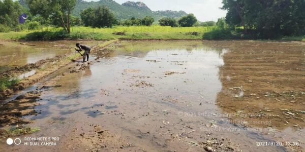 20210920 Tiruvannamalai 11.48.19 AM.jpg
