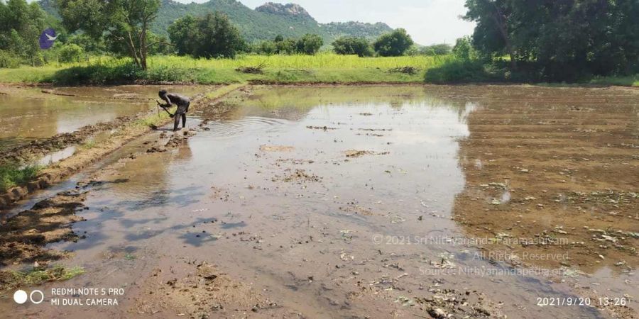 20210920 Tiruvannamalai 11.48.19 AM.jpg