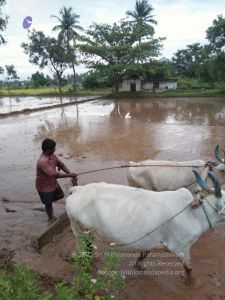 20210923 Tiruvannamalai 11.50.09 AM.jpg