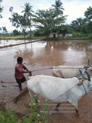 20210923 Tiruvannamalai 11.50.09 AM.jpg