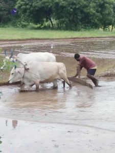 20210923 Tiruvannamalai 11.50.15 AM.jpg