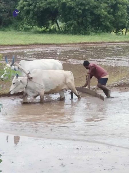 File:20210923 Tiruvannamalai 11.50.15 AM.jpg