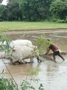 20210923 Tiruvannamalai 11.50.20 AM.jpg