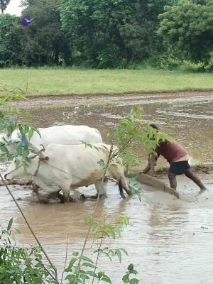 20210923 Tiruvannamalai 11.50.20 AM.jpg