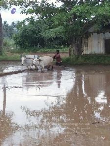20210923 Tiruvannamalai 11.50.22 AM.jpg