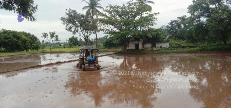 File:20210923 Tiruvannamalai 11.50.24 AM.jpg