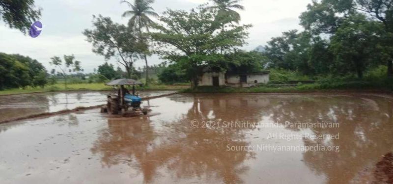 File:20210923 Tiruvannamalai 11.50.25 AM.jpg