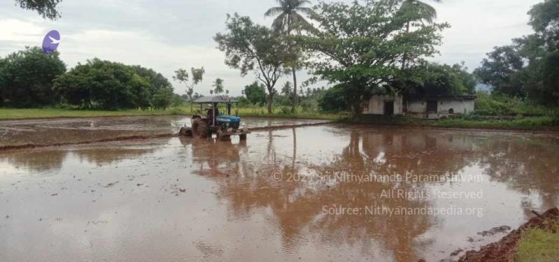 File:20210923 Tiruvannamalai 11.50.29 AM.jpg