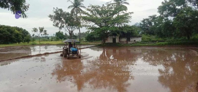 File:20210923 Tiruvannamalai 11.50.32 AM.jpg