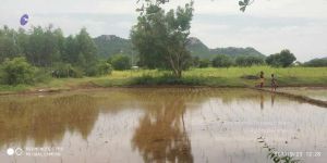 20210923 Tiruvannamalai 3.34.02 PM.jpg