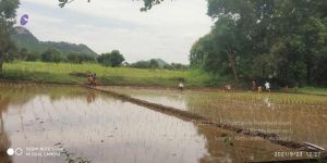 20210923 Tiruvannamalai 3.34.04 PM.jpg