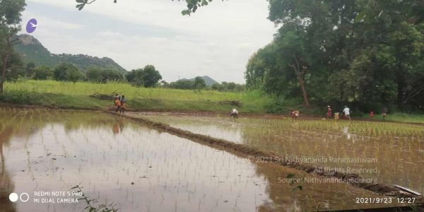 20210923 Tiruvannamalai 3.34.04 PM.jpg