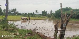 20210923 Tiruvannamalai 3.34.08 PM.jpg