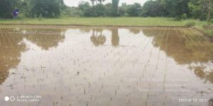 20210923 Tiruvannamalai 3.34.10 PM.jpg