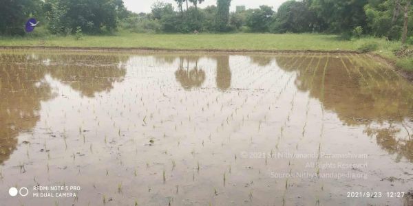 20210923 Tiruvannamalai 3.34.10 PM.jpg