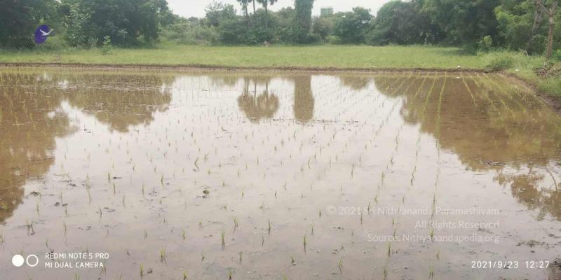 File:20210923 Tiruvannamalai 3.34.10 PM.jpg