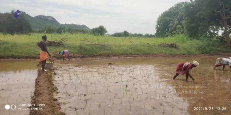 File:20210923 Tiruvannamalai 3.34.11 PM.jpg
