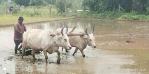 20210923 Tiruvannamalai 3.34.12 PM.jpg