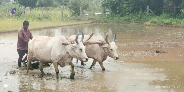 20210923 Tiruvannamalai 3.34.12 PM.jpg