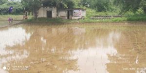 20210923 Tiruvannamalai 3.34.16 PM.jpg