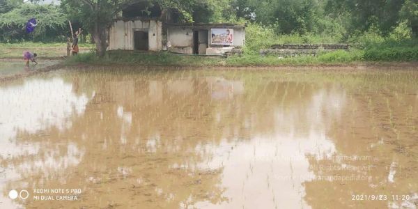 20210923 Tiruvannamalai 3.34.16 PM.jpg