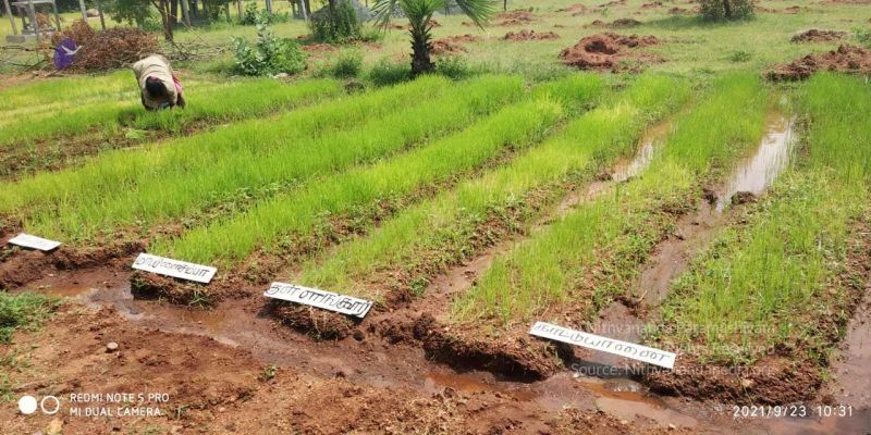 File:20210923 Tiruvannamalai 3.34.19 PM.jpg