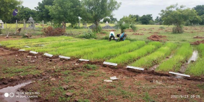 File:20210923 Tiruvannamalai 3.34.32 PM.jpg