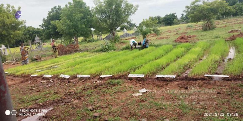 File:20210923 Tiruvannamalai 3.34.34 PM.jpg