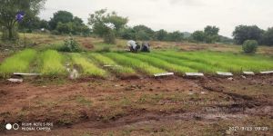 20210923 Tiruvannamalai 3.34.35 PM.jpg