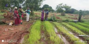 20210923 Tiruvannamalai 3.34.36 PM.jpg