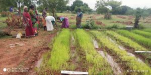 20210923 Tiruvannamalai 3.34.37 PM.jpg