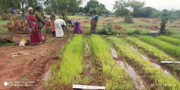 20210923 Tiruvannamalai 3.34.37 PM.jpg