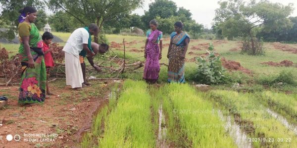 20210923 Tiruvannamalai 3.34.40 PM.jpg