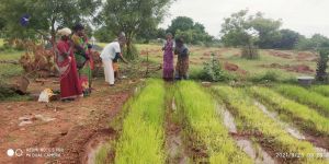 20210923 Tiruvannamalai 3.34.41 PM.jpg
